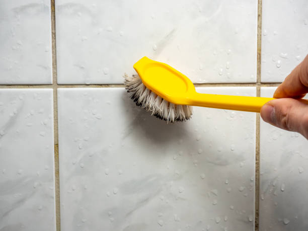 Best Mold Remediation Services  in Merkel, TX