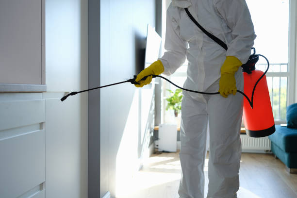 Mold Removal and Inspection in Merkel, TX